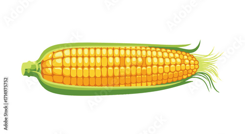 Vibrant Yellow Corn Cob with Green Husk Illustration.