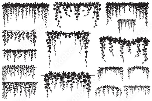 Black silhouette vine and leaf decorative borders and elements