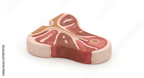 Educational Illustration of a T-Bone Steak Cross-Section.