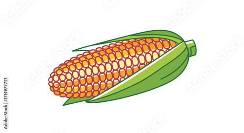Fresh Ripe Corn Cob with Green Husks.