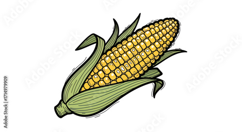 Hand-drawn illustration of a fresh yellow ear of corn with green husks.