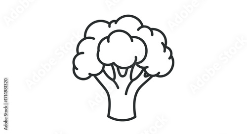 Simple Line Art Illustration of a Fresh Broccoli Vegetable.