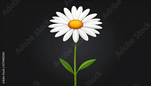 Elegant white daisy against a striking dark background