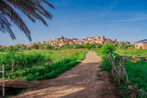 Path through farm in Tinghir, Morocco