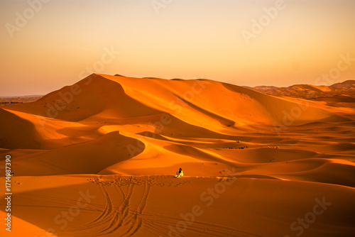 Merzouga Dunes in the morning, Sahara Desert, Morocco