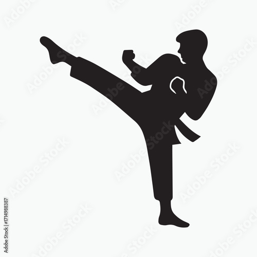Dynamic martial arts silhouette capturing a powerful karate kick action pose for combat sports and fitness concepts