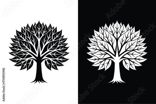 Sycamore flat icon vector on White Background Vector Art Illustration on white background.