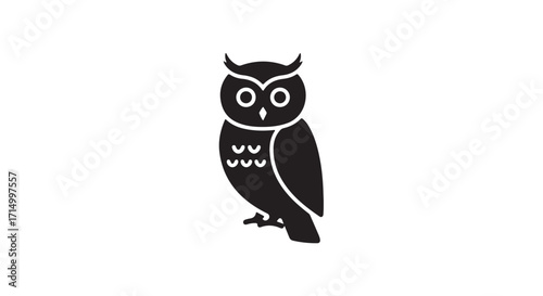 owl vector illustration on white background