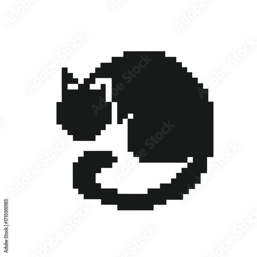 Silhouette of a cute cat surrounded by sparkling stars and dashed circle shapes