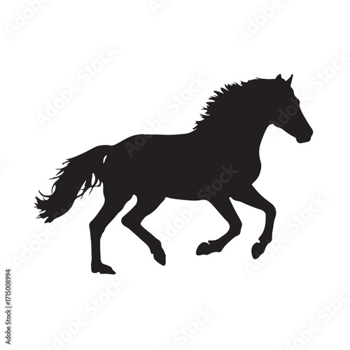 Vector silhouette of a horse on white background 