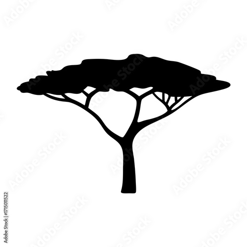 Silhouette of an iconic acacia tree with a broad canopy in black
