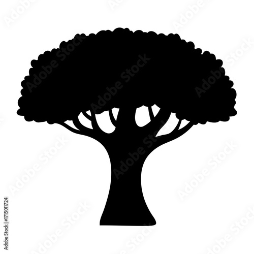 Silhouette of a mature tree with dense crown of leaves in black
