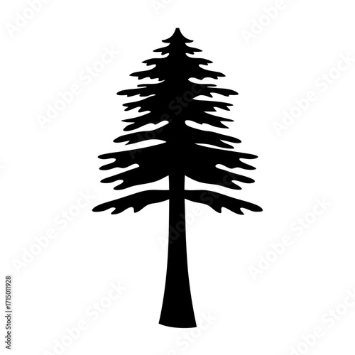 Simple Black Silhouette of a Tall Evergreen Tree on a White Background