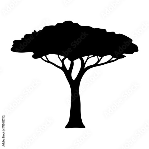 Monochrome representation of an African Acacia tree with a spreading crown shape