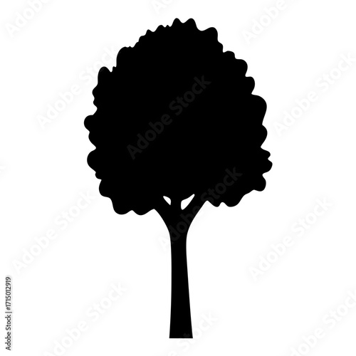 Monochrome silhouette of a broadleaf tree with dense foliage against white backdrop