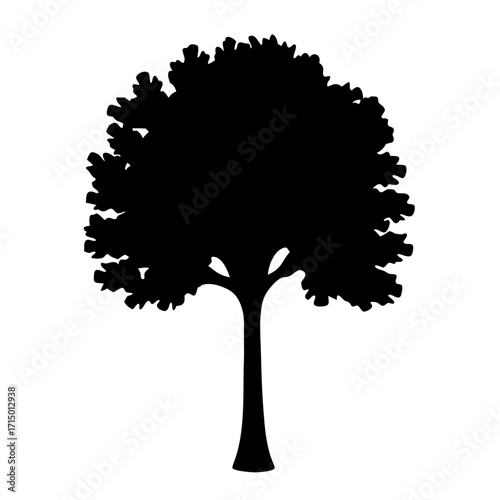 Silhouette of a tree with dense leaves and a sturdy trunk