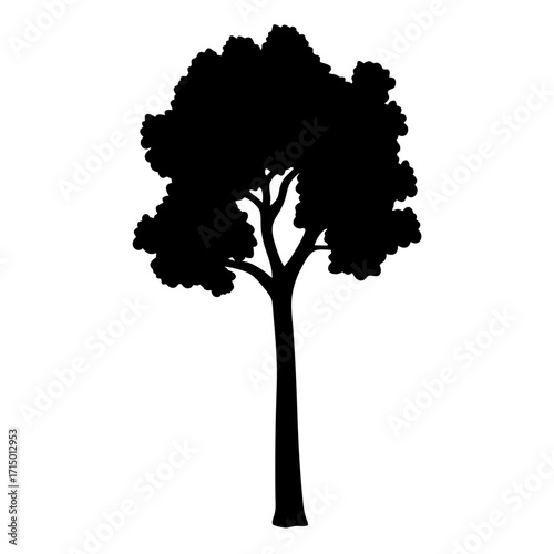Black tree silhouette with rounded foliage, tall trunk, and branching limbs
