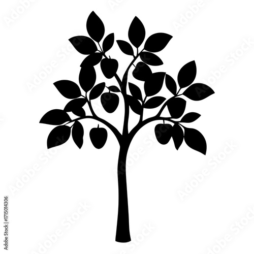 Silhouette of an apple tree full of fruit and many leaves