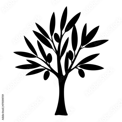 Silhouette of a stylized olive tree with fruit and slender leaves illustration