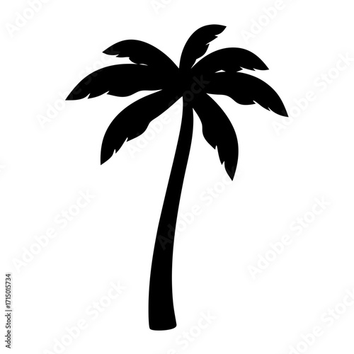 A silhouette of a tropical palm tree with detailed fronds