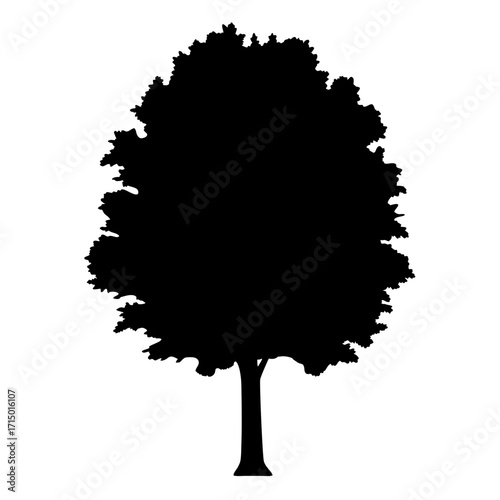 Monochrome silhouette image depicting a single isolated deciduous tree in full foliage
