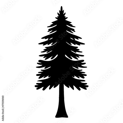 Detailed silhouette of an evergreen tree, a symbol of nature and resilience