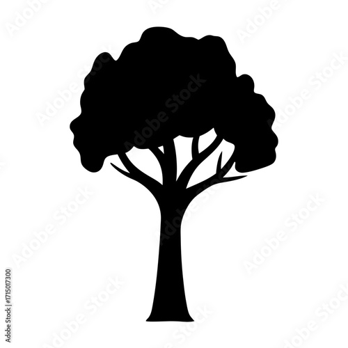 Silhouette of a majestic tree with a full crown and sturdy trunk