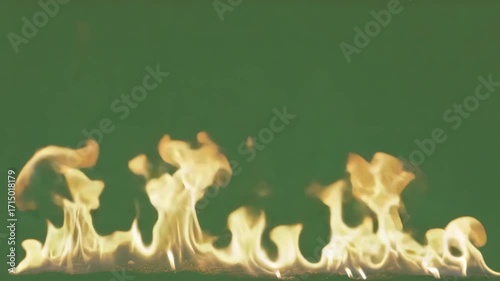 Dynamic flames dance with vibrant energy against a deep green backdrop, suggesting power and transformation.