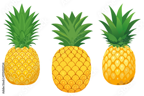 Pineapple fruit, Tropical sweet ananas, whole pineapple with leaves, Summer fruits for healthy lifestyle,