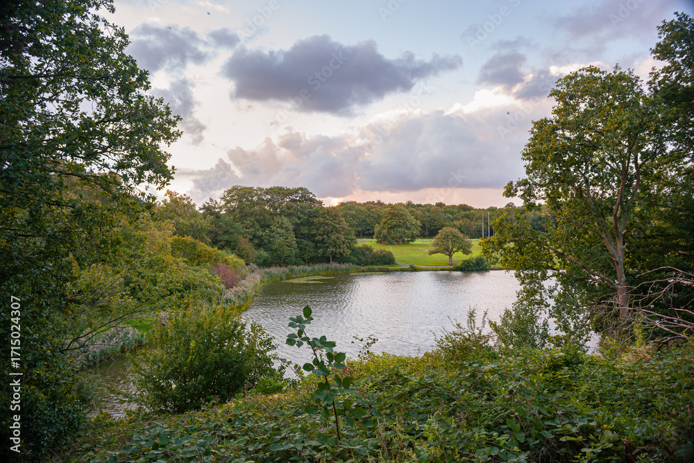 Fototapeta premium Peaceful view of small lake Waterpartij in The Hague, Netherlands, through green trees with calm water and open sky