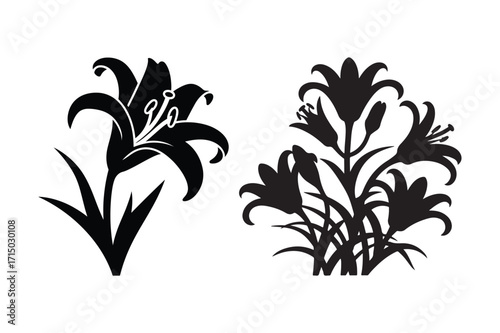 Black and white silhouette of elegant lily flowers and buds