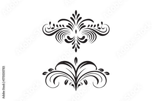 Elegant black flourish ornaments on white background