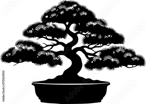 Elegant silhouette of a mature bonsai tree in a pot, symbolizing tranquility and mindful cultivation.