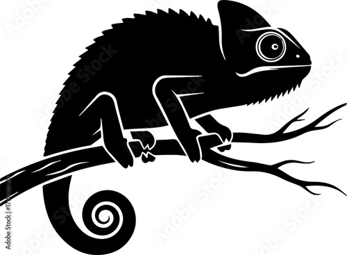 Silhouette of a chameleon perched on a branch, showcasing its unique reptilian form and curled tail.