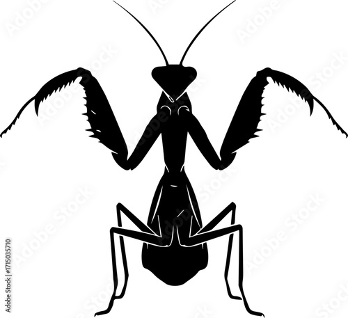 Striking black praying mantis silhouette poised for action, a symbol of predatory grace and natural power.