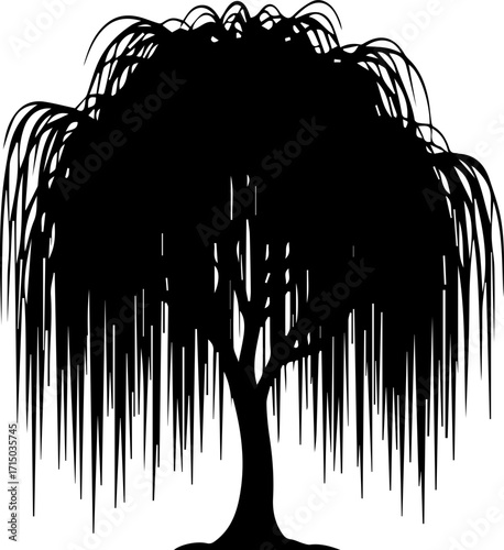 Elegant weeping willow tree silhouette, a symbol of grace and nature's tranquility, perfect for serene designs.