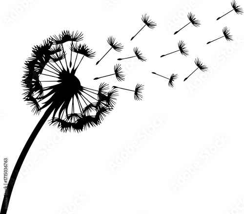 Delicate dandelion seeds scattering on wind, symbolizing new beginnings, hope, and freedom.