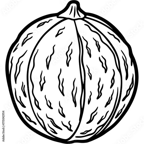 Black and white line drawing of a whole walnut with detailed texture isolated on white background silhouette