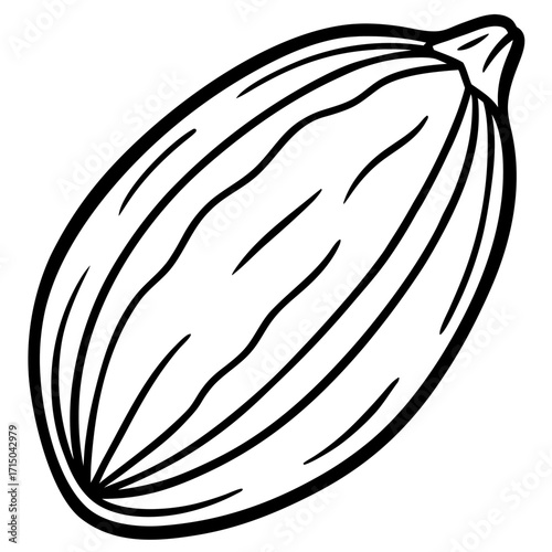 A simple black line drawing of a single cardamom pod silhouette isolated on white background