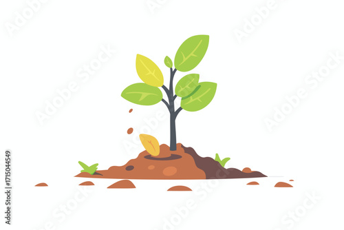 young tree sapling in earth holding isolated