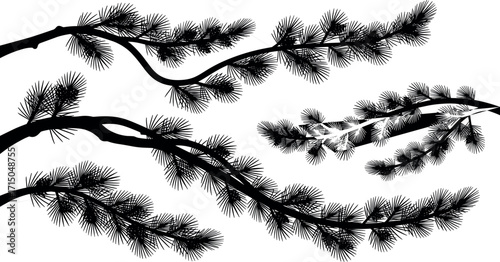 Black and White Pine Tree Branch Silhouette with Needles – Natural Forest Foliage Vector for Botanical, Seasonal, and Design Use