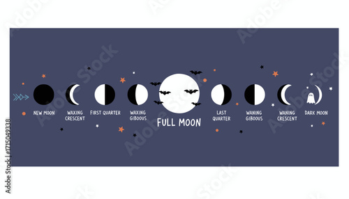 Moon phases illustration with bats and ghost Spooky night sky celestial cycle astronomy Halloween