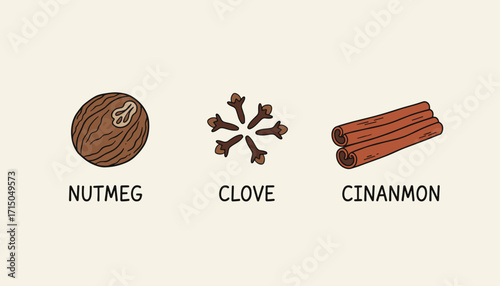 Illustrated nutmeg clove and cinnamon spices for cooking baking and culinary concepts