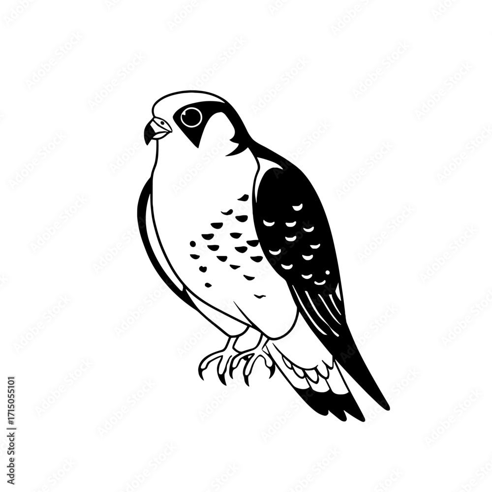 Fototapeta premium Falcon. Falcon simple black and white line art vector logo