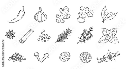 A hand drawn vector line art icon set of popular cooking spices and culinary herbs isolated on a white background