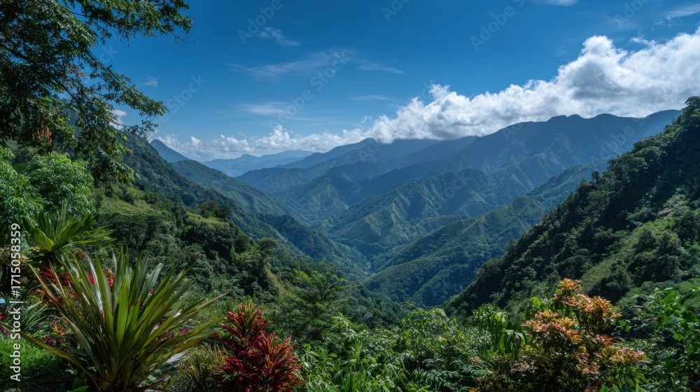 Obraz premium Lush tropical mountains stretch across the horizon under a clear blue sky with fluffy clouds. Vibrant plants flourish in the foreground, showcasing natures beauty in a serene setting.