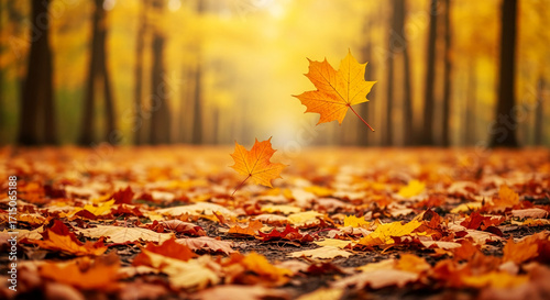 Fototapeta Naklejka Na Ścianę i Meble -  Golden and orange maple leaves falling in autumn forest, creating a peaceful and serene autumnal scene, ideal for nature, fall, or seasonal designs