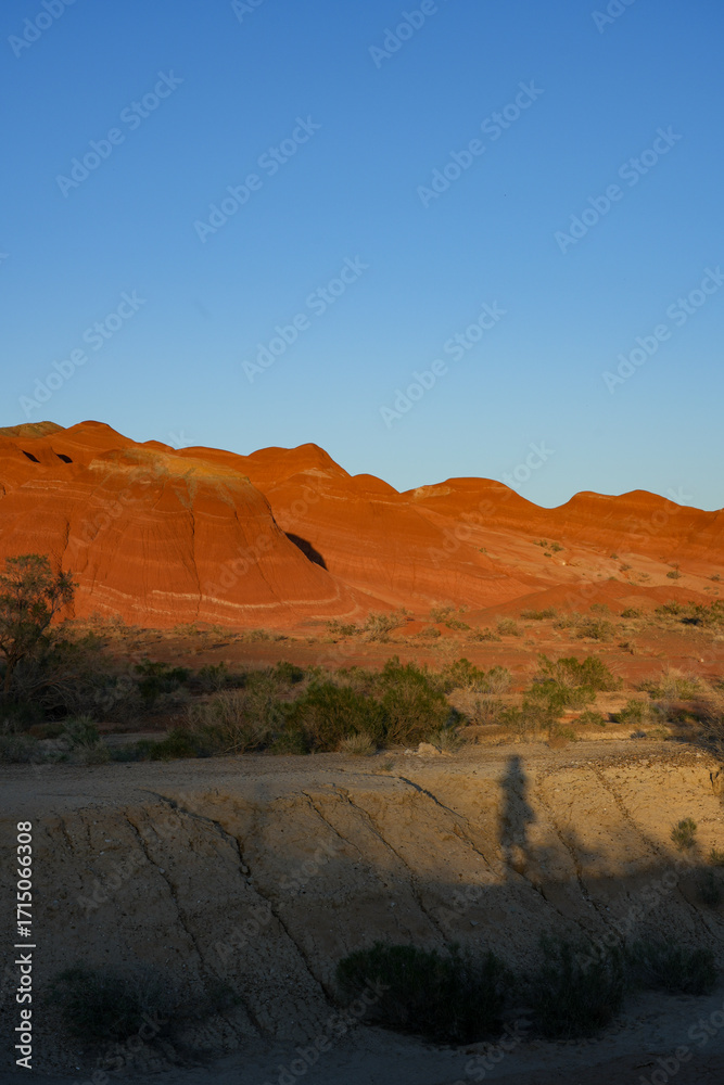 Fototapeta premium red rock canyon