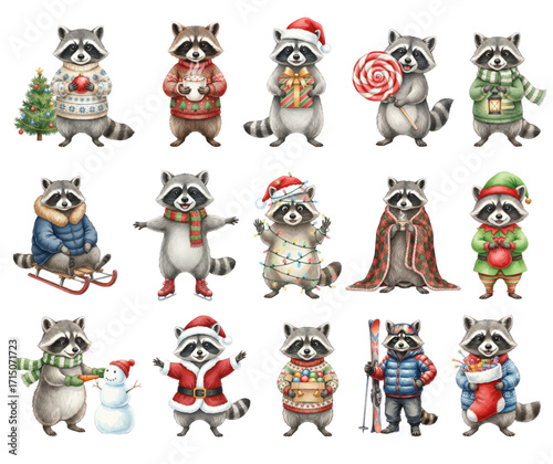 Adorable Raccoons in Festive Winter Holiday Collection