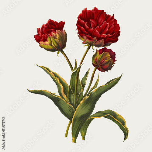 bouquet of flowers